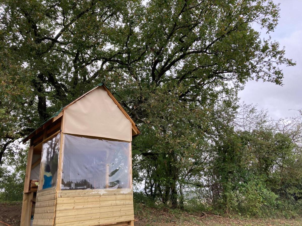 Cabane Bivouac Avec Echelle A L'Ombre Des Chenes Idrac-Respailles Экстерьер фото
